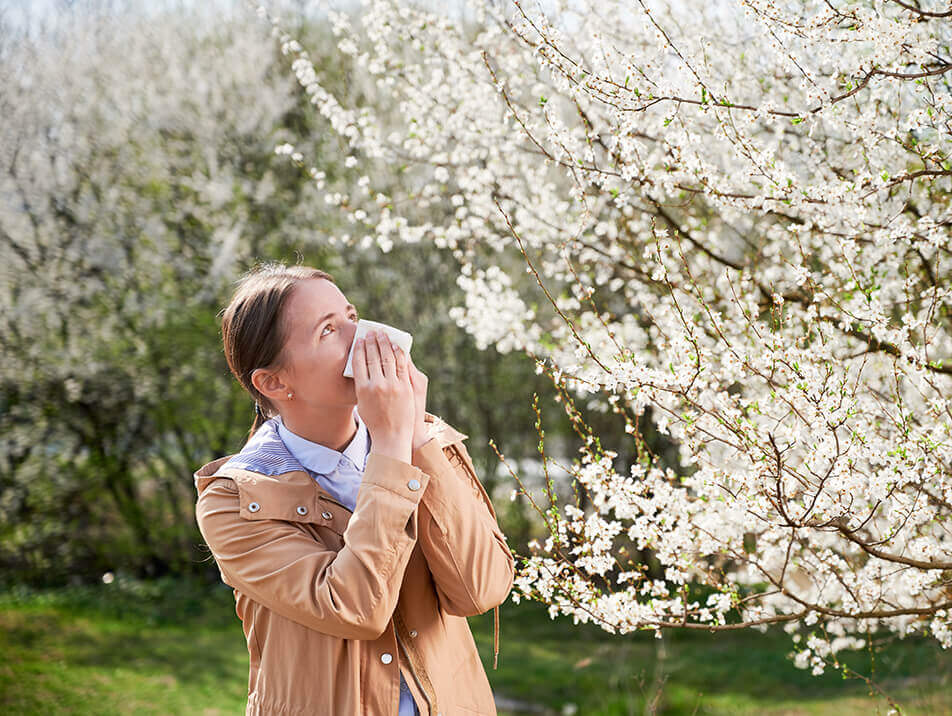 Pollenbelastung Allergie