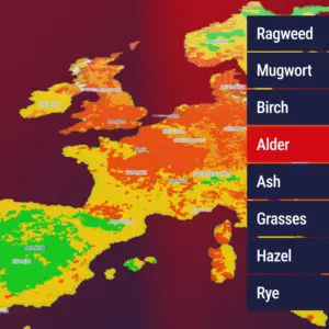 PollenTeaser_798px (4)
