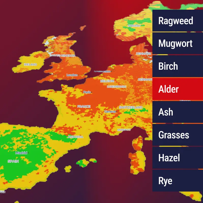 PollenTeaser_798px (4)